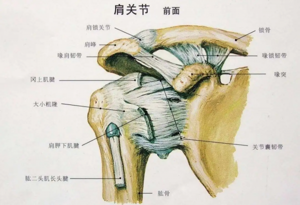給愛打麻將的人一個養(yǎng)生理由：適度搓麻，延緩認知衰退！